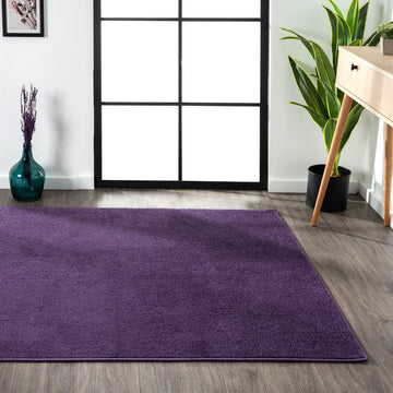 Haze Solid Low-pile Area Rug Purple